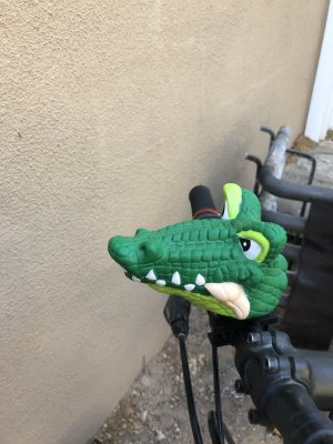 IMG_1743.jpeg