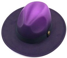 purple fedora.jpg