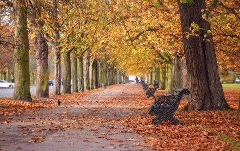 Screenshot 2024-04-27 at 10.11.46 AM.jpg