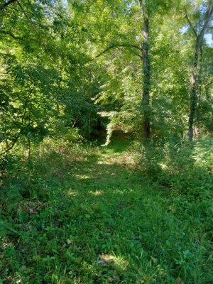 20230818_100259.jpg