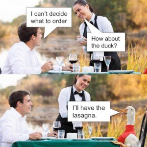 IMG_7434.jpeg