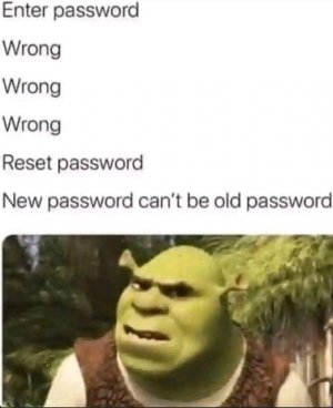 438240488_10233984622097700_1678101900834056246_n.jpg