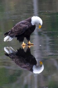 4C723B59-E2B5-46D0-B88D-FE8B3014AA8B.jpeg