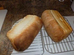 bread (800x600).jpg bread (800x600).jpg