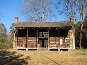 dogtrot1.jpg