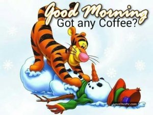 18AA0CFE-FD4B-4036-BA90-5875CECA8B5E.jpeg