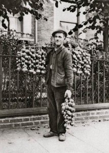 onionseller2.jpg
