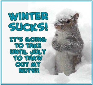 winter.jpg