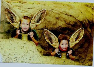 rabbit ears (800x570).jpg