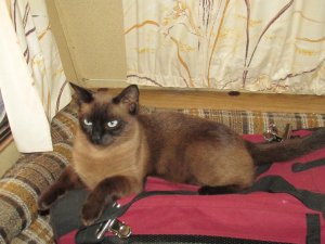 IMG_1451.jpg