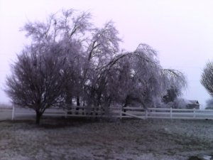 IMG_20180222_072936.jpg