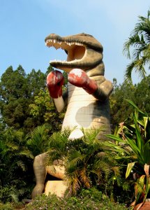 Big_Boxing_Croc.jpg