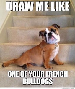 Draw-Me-Like-One-Of-Your-French-Bulldogs-Funny-Dog-Meme-Picture.jpg