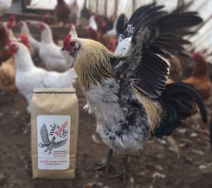 wake-the-rooster-coffee-with-rooster.jpg