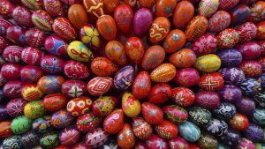 eggs.jpg