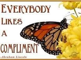 butterfly.jpeg