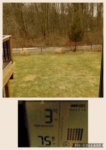 Collage 2018-03-01 10_06_58.jpg