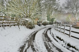 snow lane_zpsoyt8tgg2.jpg~original.jpg