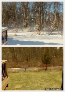 Collage 2018-03-02 09_09_32.jpg