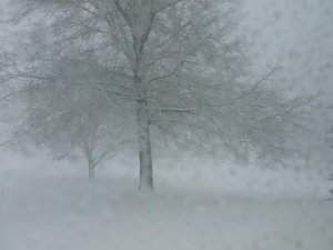 snow front (800x600).jpg