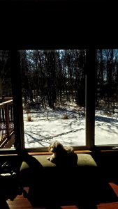 2018-03-03-12-19-33.jpg