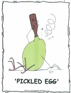 pickledeggS.jpg