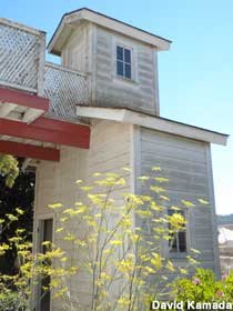 outhouse.jpg