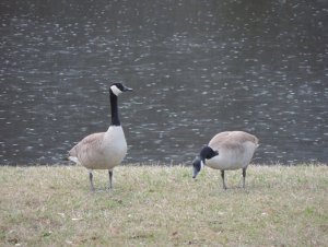 DSCN2427.jpg