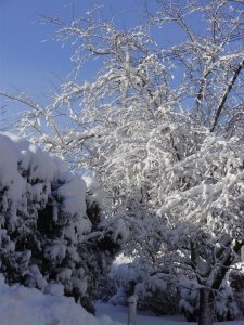 0 0 art my snow 2.jpg