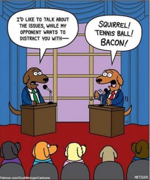 Debate.jpg