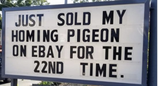 Screenshot 2024-04-28 at 4.23.53 PM.jpg