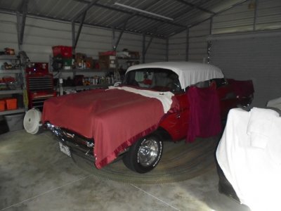 big red sleeping.JPG