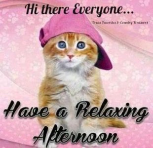 f27786b116b167115ec7ad22be7877de[1].jpg