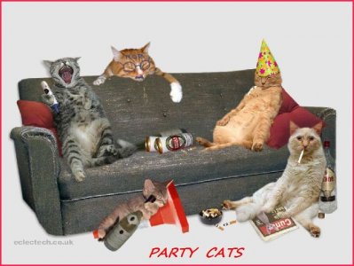 PArty Cats.jpg