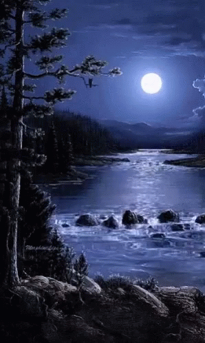 3B6180E3-9DB3-4AF6-B022-8344DA0E9564.gif