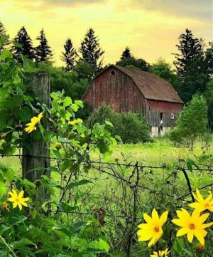 barn0.jpg