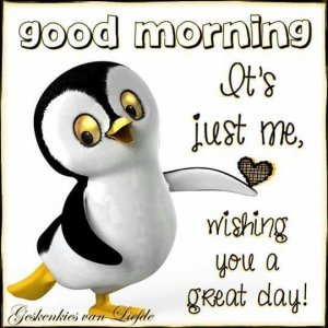 good morning just me.jpg