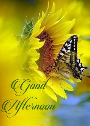 ec6de3ad5d09c4e13be5273d0a1fd899[1].jpg