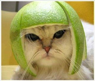 lime.jpg