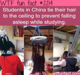 fun-facts-students-in-china.jpg