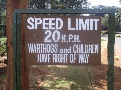 warthogsandchildren.jpg