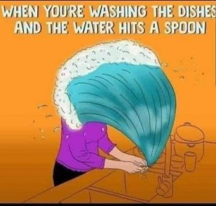 IMG_7492.jpeg