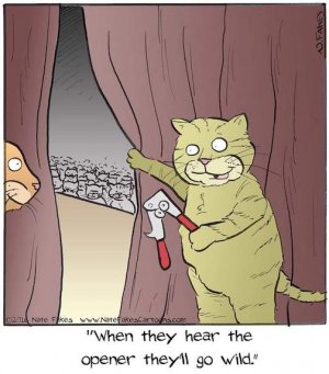 Live entertainment.jpg