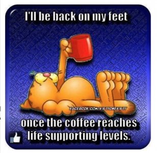 Coffe  back feet.jpeg