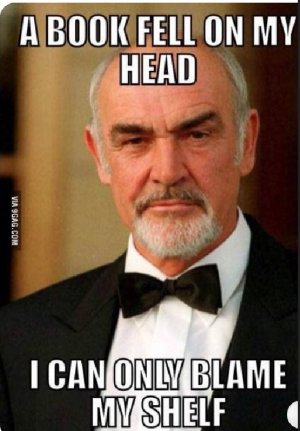shelf.jpg
