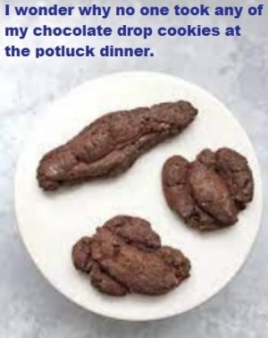 chocolate cookies.jpg