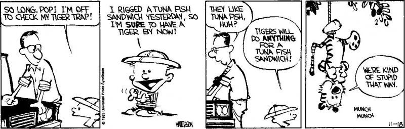 Calvin Hobbes No1.jpg