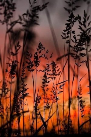 tumblr_71306cb6739d3021e6f287fe11fdf275_48ad8959_500.jpg