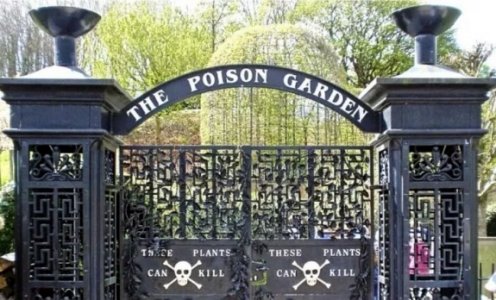 The Poison Garden Alnwick.jpg