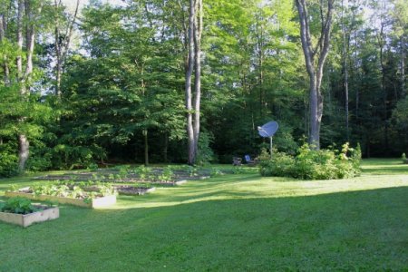 garden2011.jpg